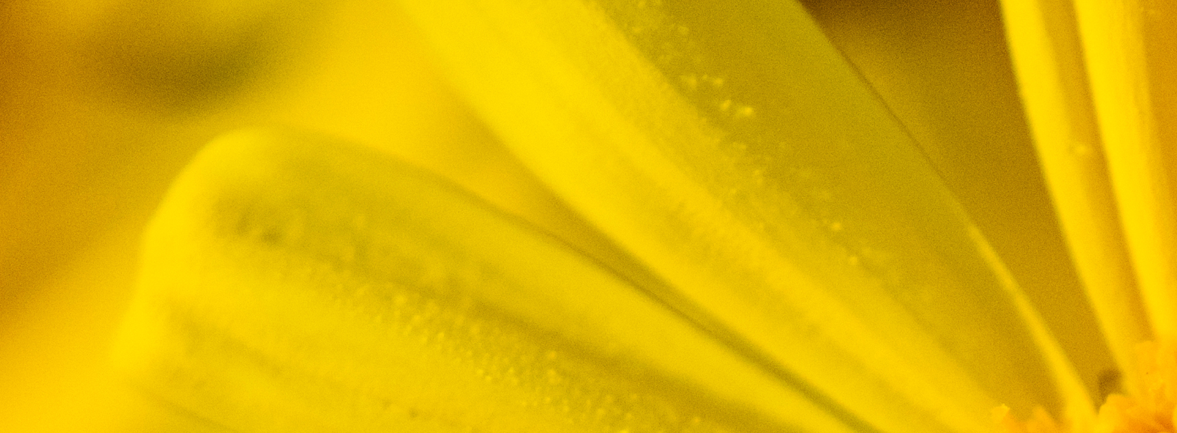 Soul Sunday*Informal worship*More Details