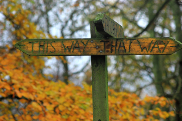 Searching for Faith signpost