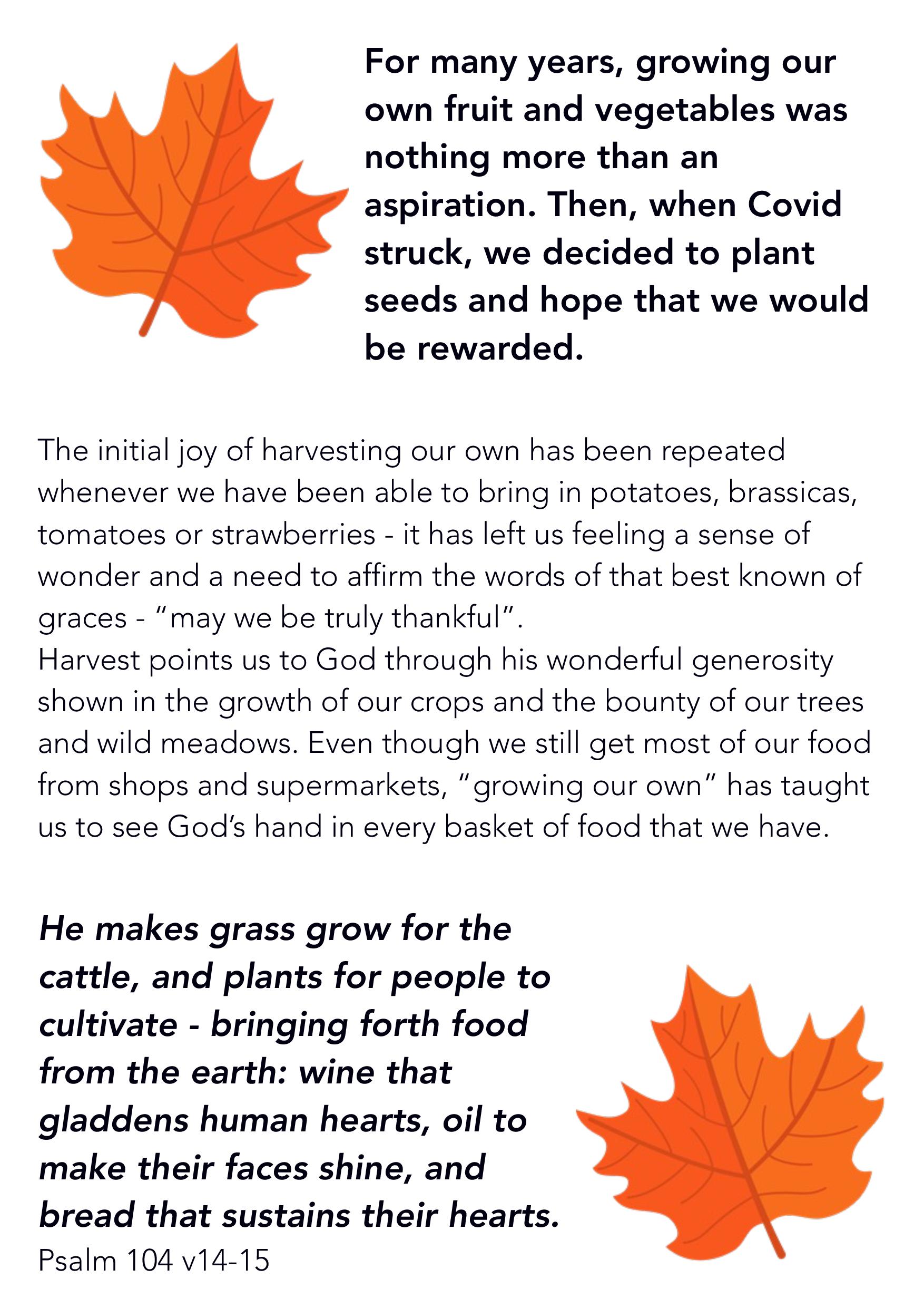 Sht-13-Harvest gratitude-page-