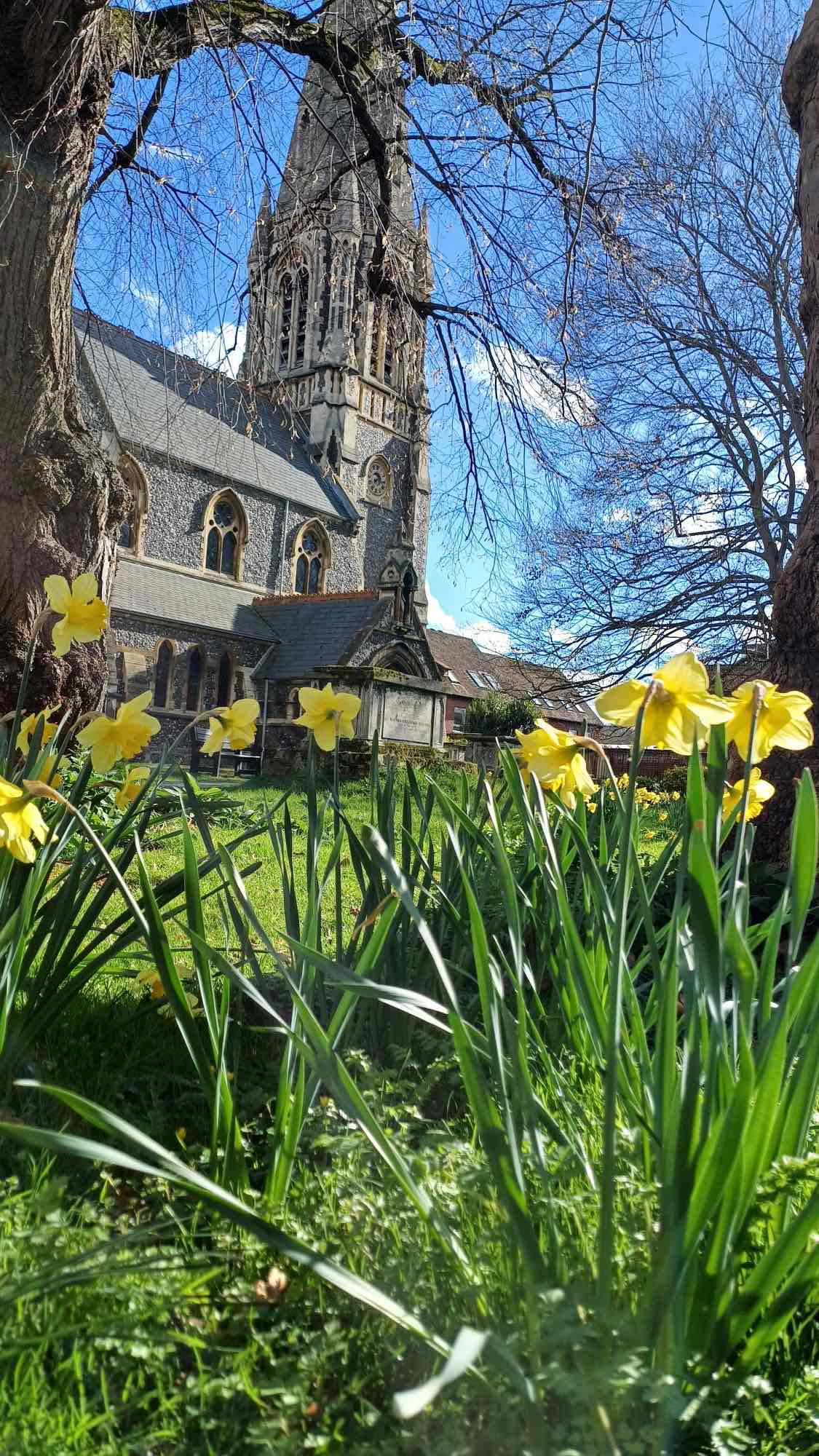 Churchyard spring 2025