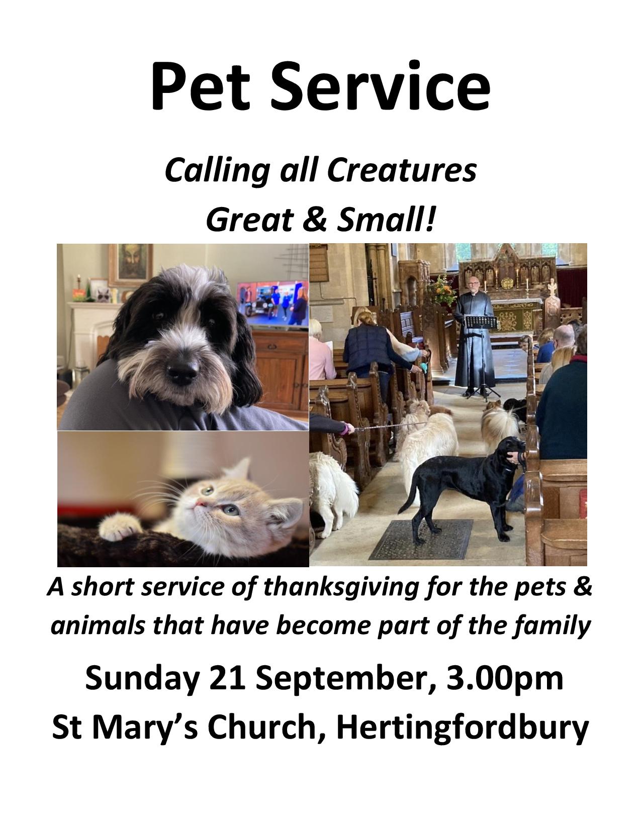 Pet service poster 25