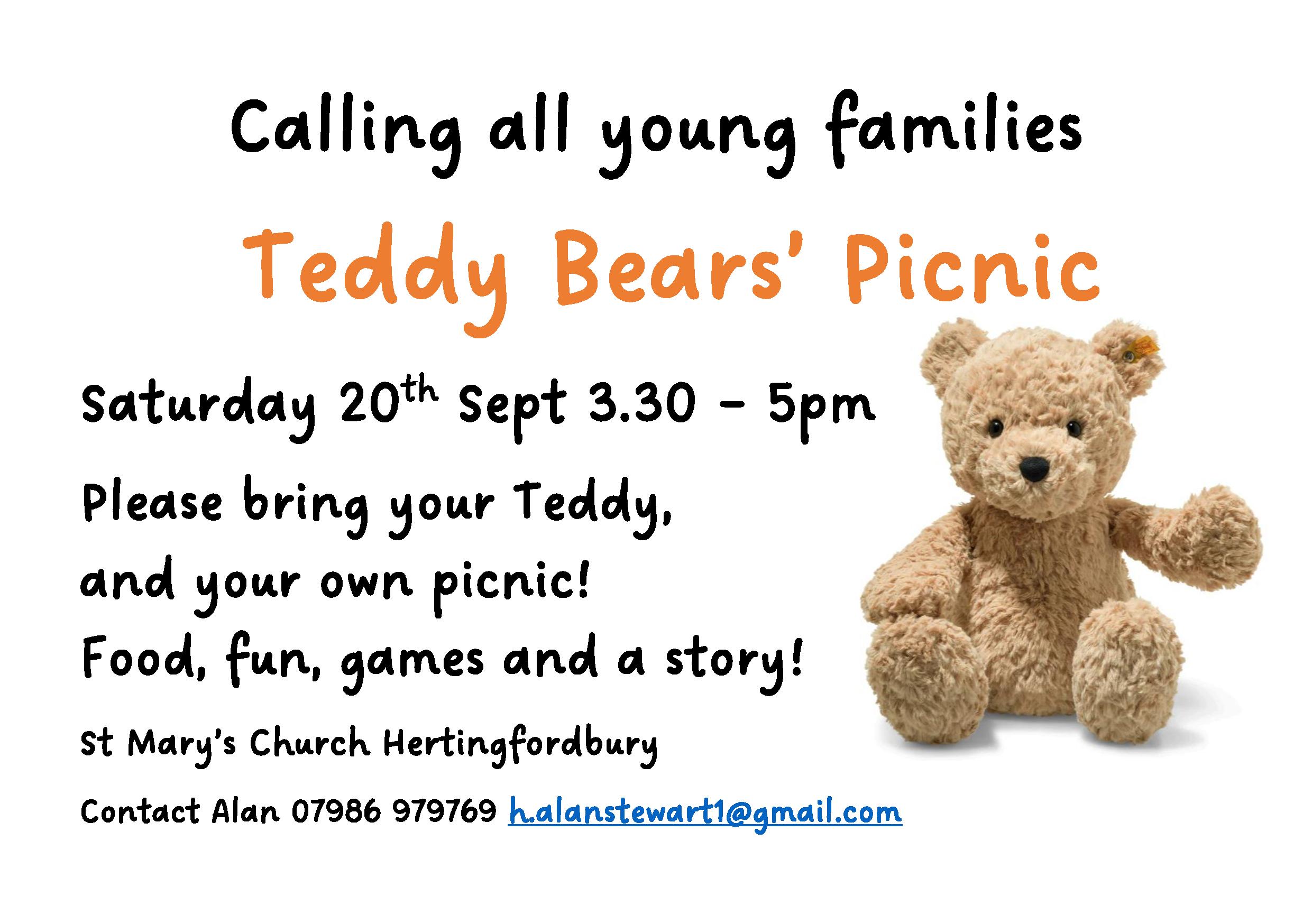 Teddy Bear Picnic invitation 2