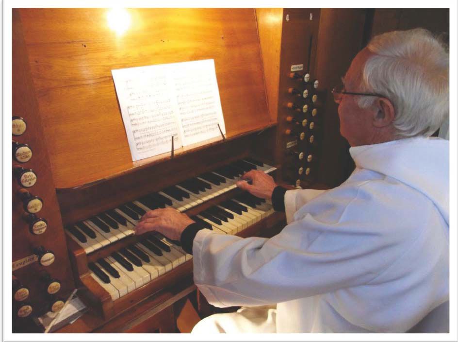 organ