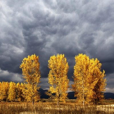 evgeni dinev stormy skies