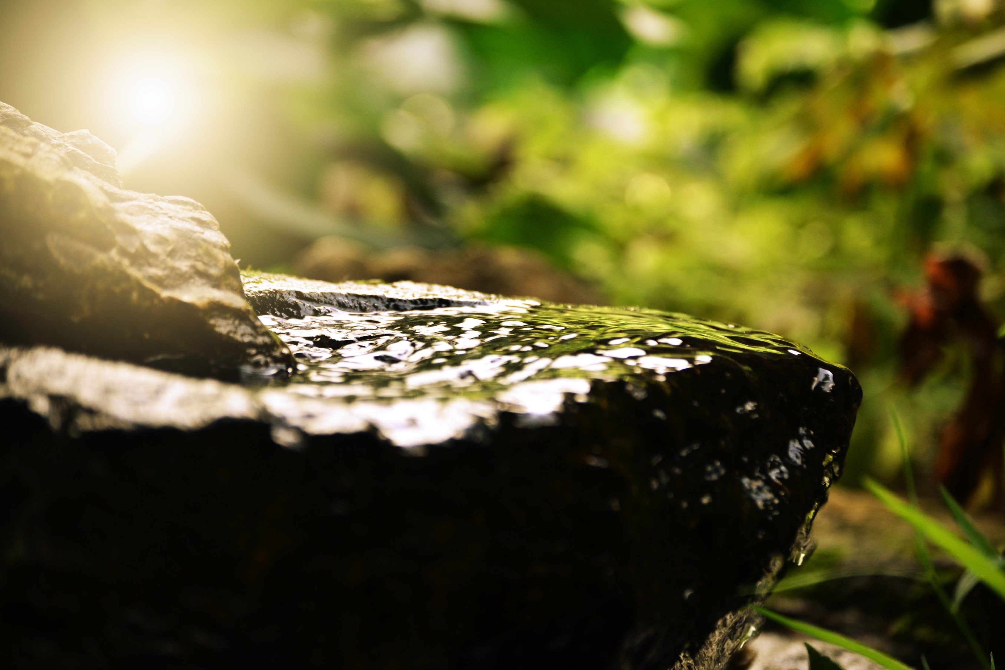 meditation and mindfulness